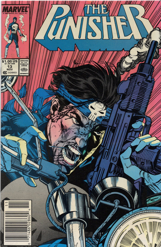 Punisher #13 (Newsstand)